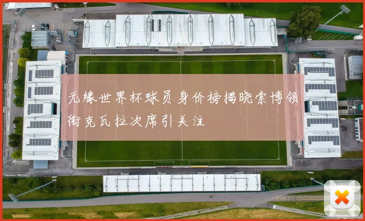 无缘世界杯球员身价榜揭晓索博领衔克瓦拉次席引关注