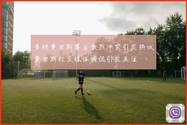 多特费尔斯赛后激烈冲突引发热议费尔斯社交媒体调侃引发关注
